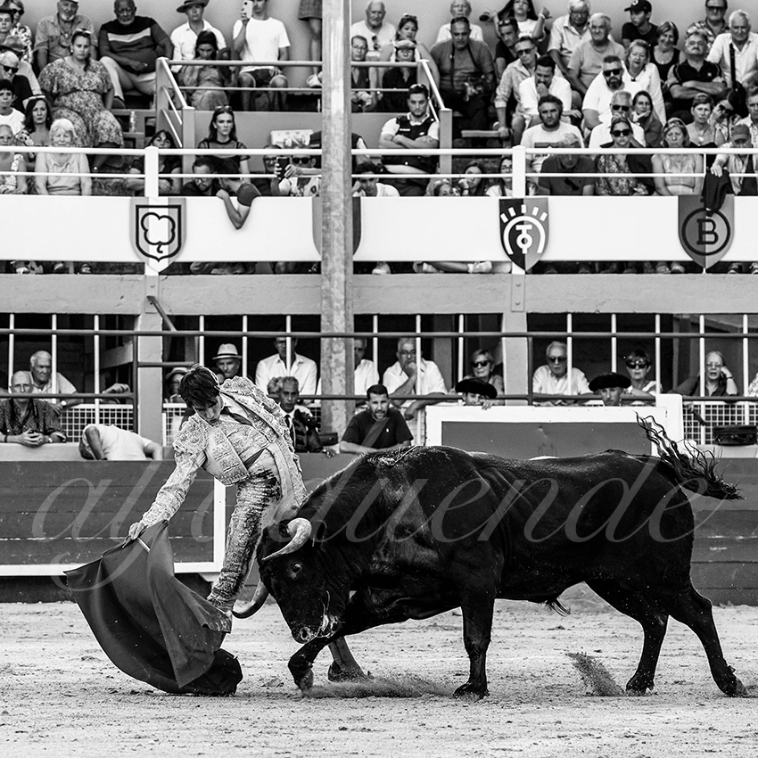 20220820 st gilles 016