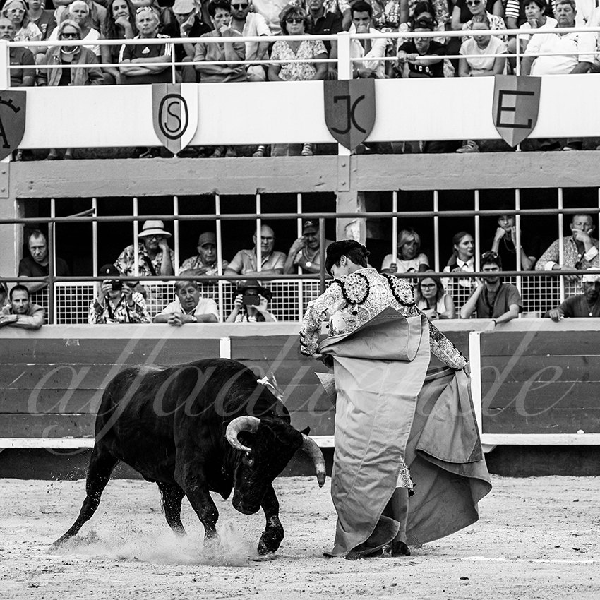 20220820 st gilles 021