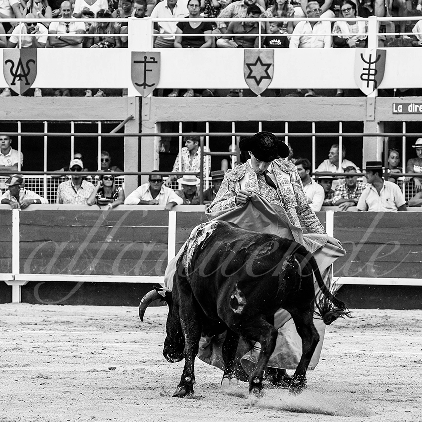 20220820 st gilles 022