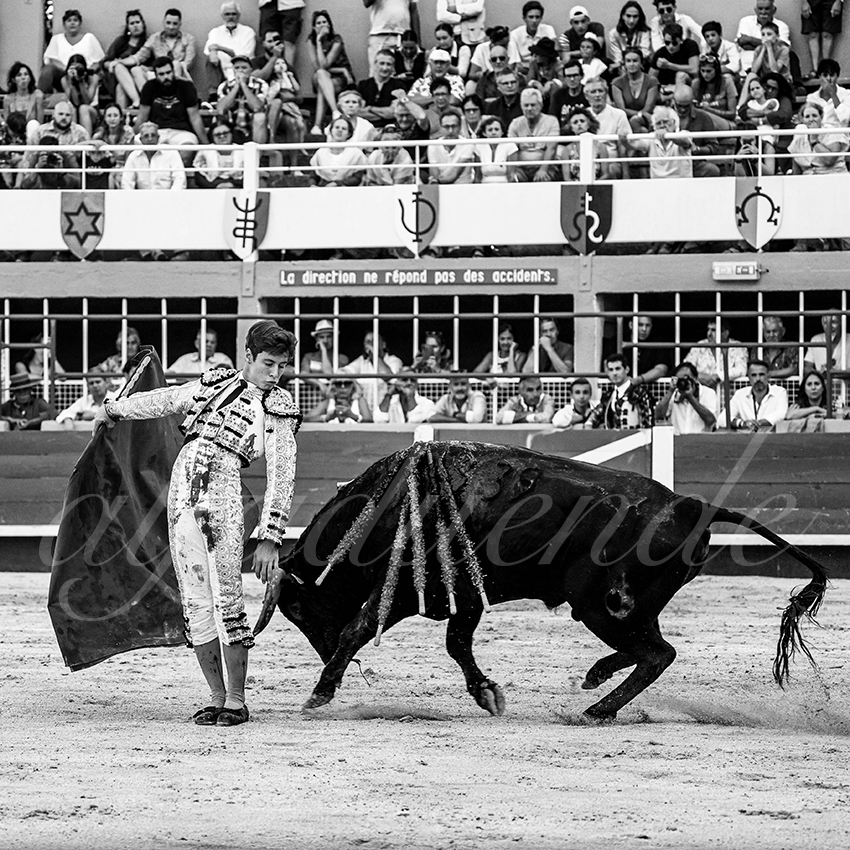 20220820 st gilles 023