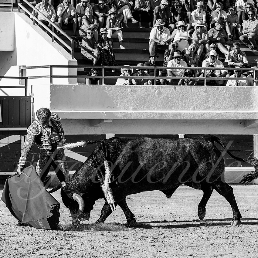 20220807 st maries de la mer 004