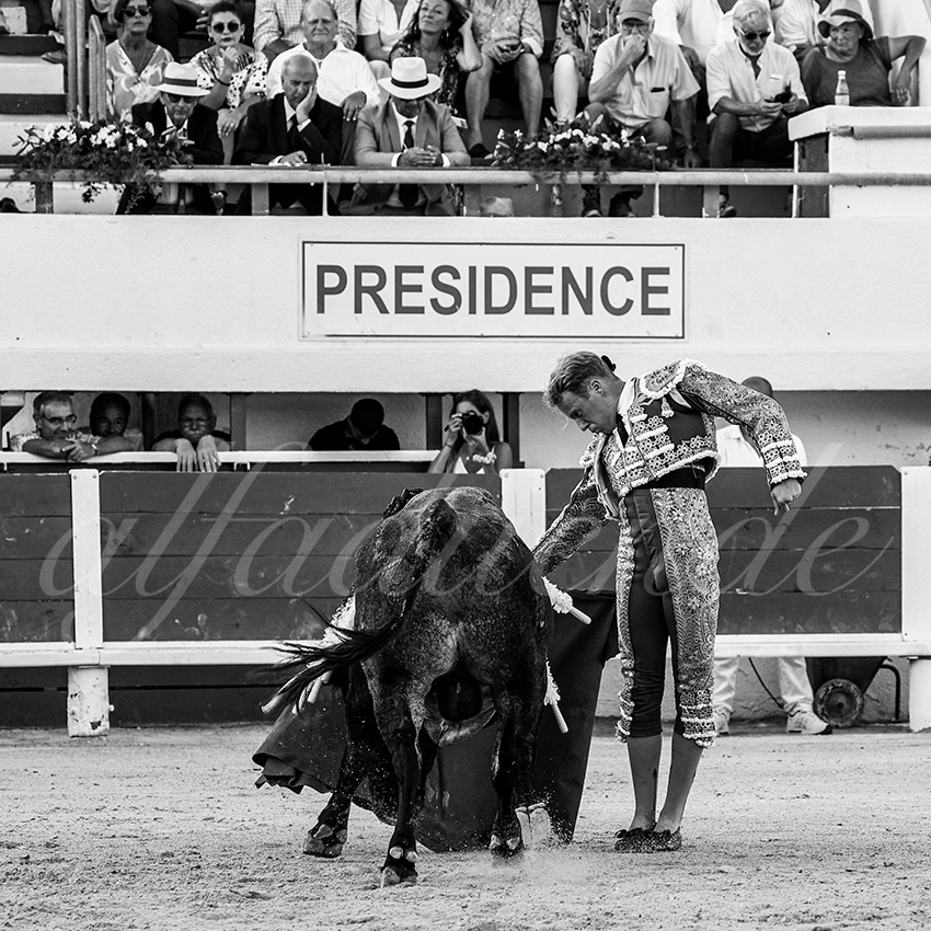 20220807 st maries de la mer 005