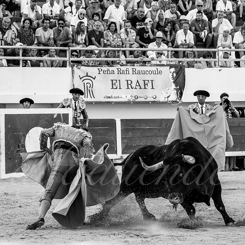 20220807 st maries de la mer 008