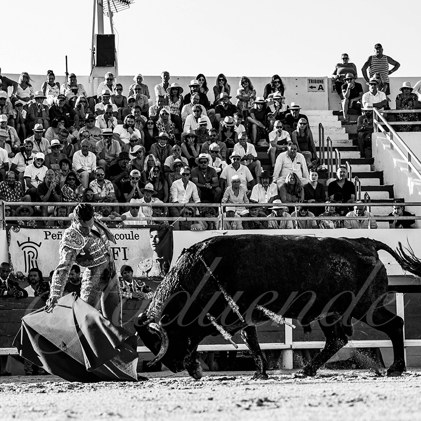 20220807 st maries de la mer 012