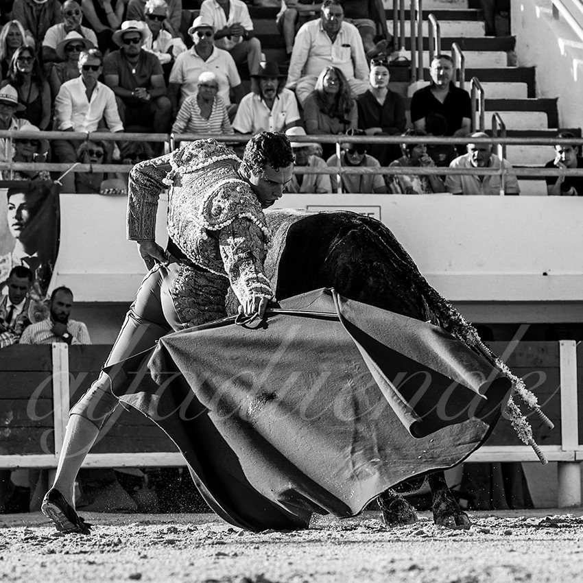 20220807 st maries de la mer 013