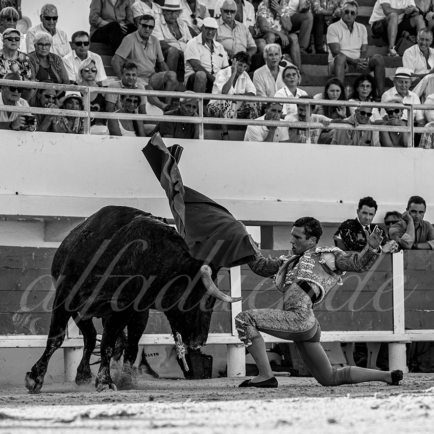 20220807 st maries de la mer 014