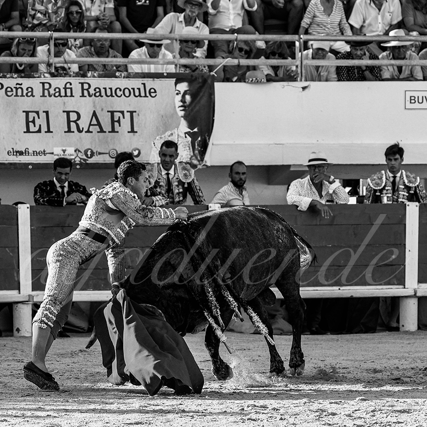 20220807 st maries de la mer 015