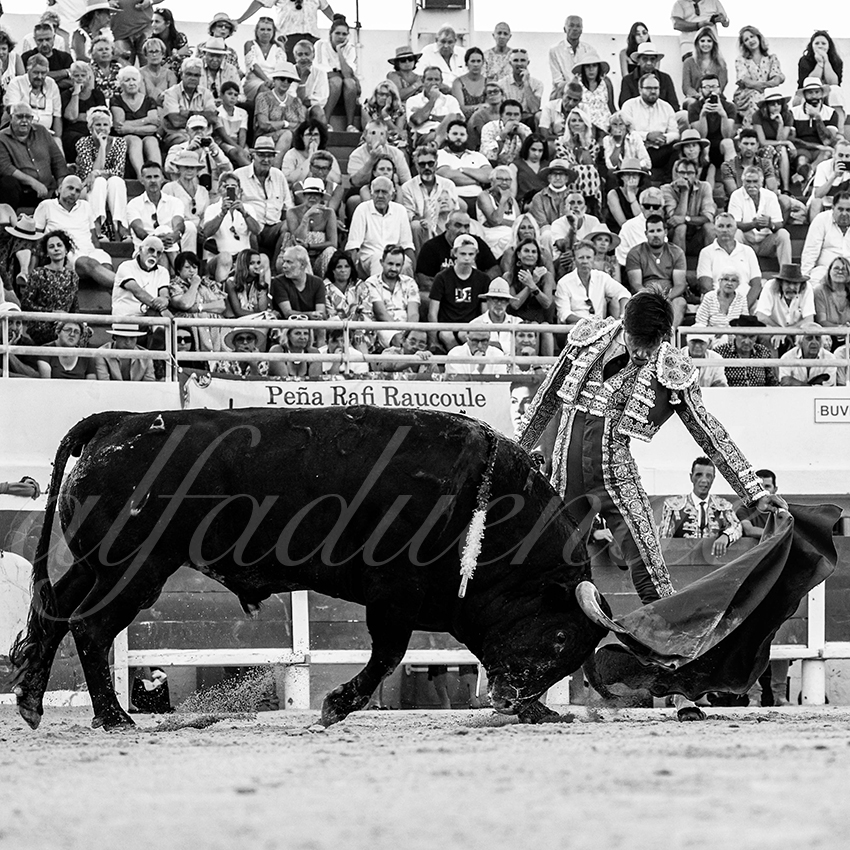 20220807 st maries de la mer 016