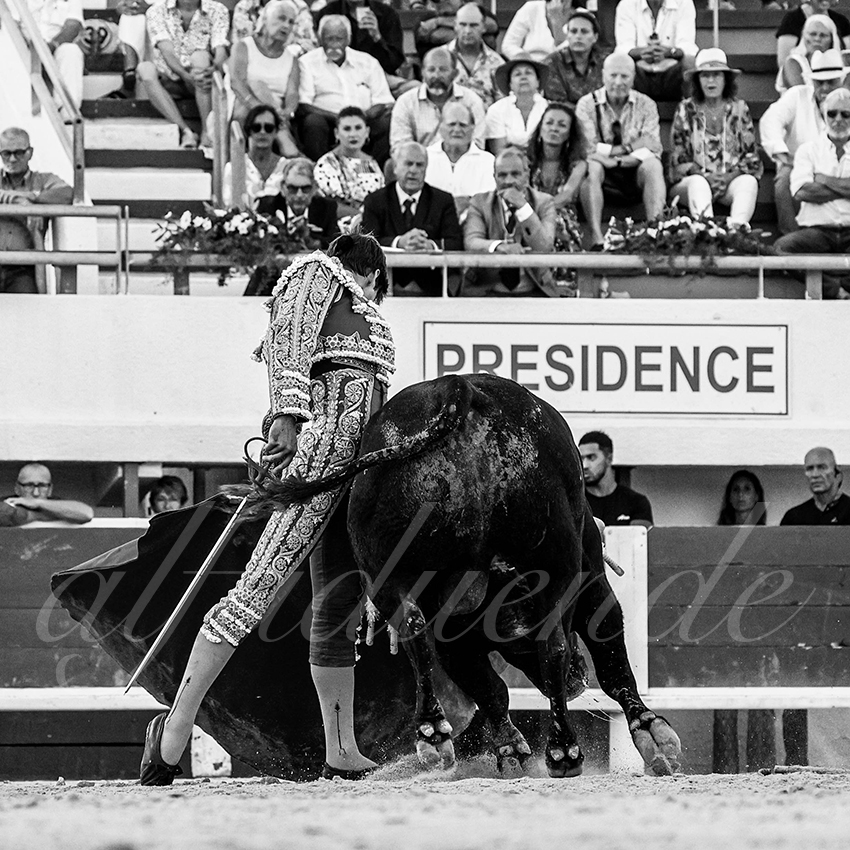 20220807 st maries de la mer 017