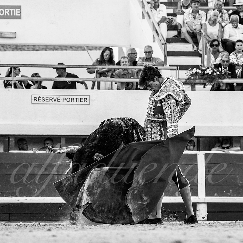 20220807 st maries de la mer 018