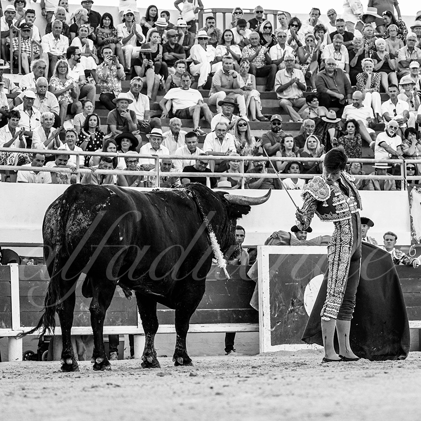 20220807 st maries de la mer 020