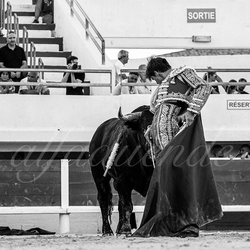 20220807 st maries de la mer 021