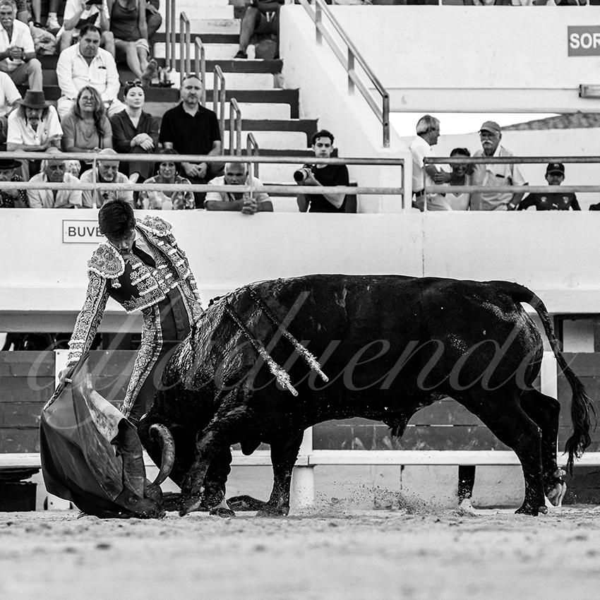 20220807 st maries de la mer 022