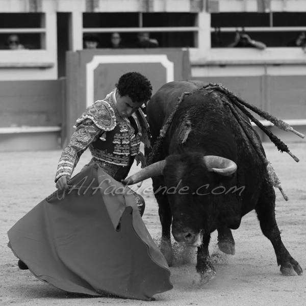 St martin de crau 201800501 12 
