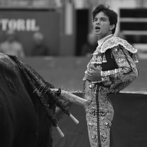 St martin de crau 201800501 10 