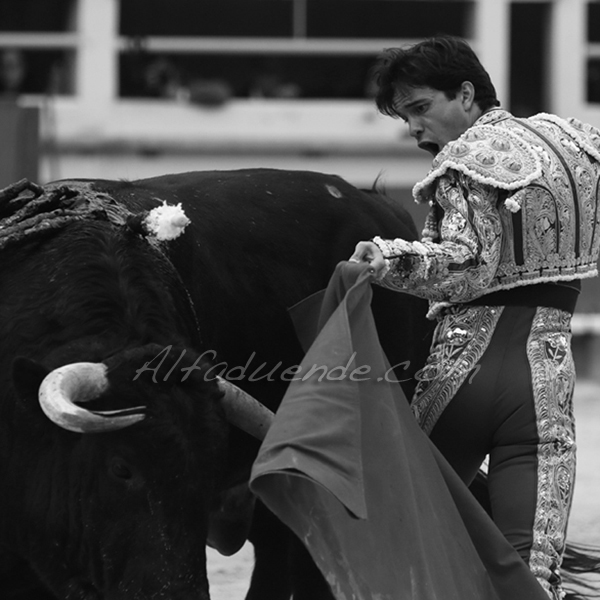 St martin de crau 201800501 9 