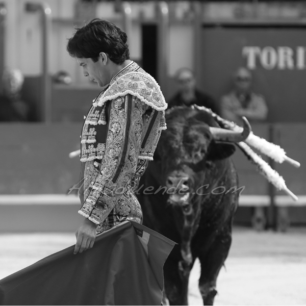 St martin de crau 201800501 8 