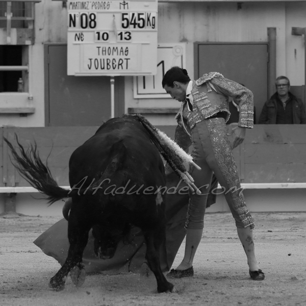 St martin de crau 201800501 5 