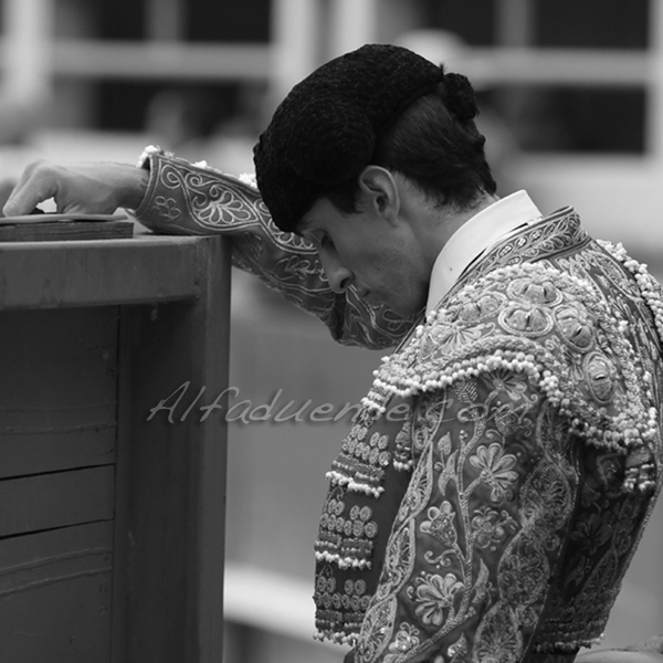 St martin de crau 201800501 2 