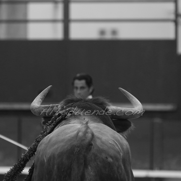 St martin de crau 20180428 4 