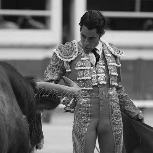 St martin de crau 20180428 5 