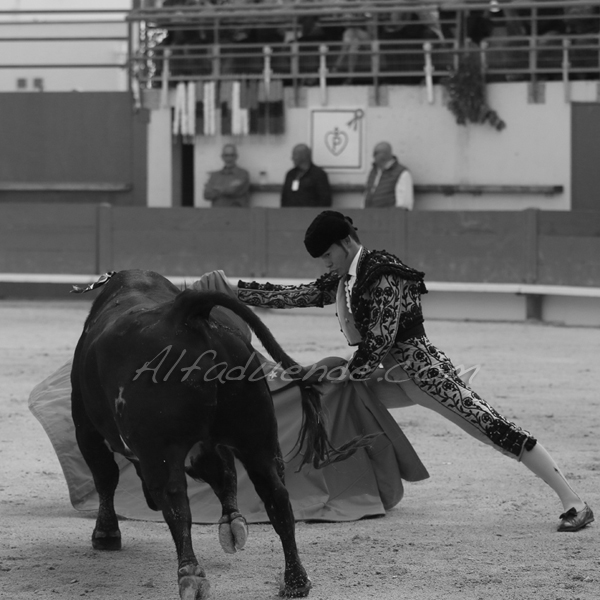 St martin de crau 20180428 7 