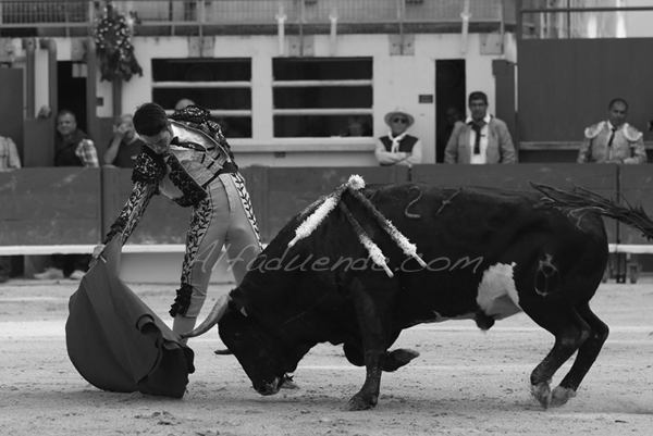 St martin de crau 20180428 8 