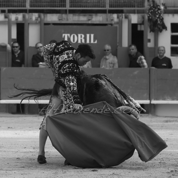 St martin de crau 20180428 9 