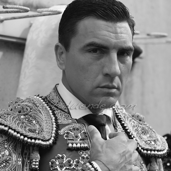 St martin de crau 20180428