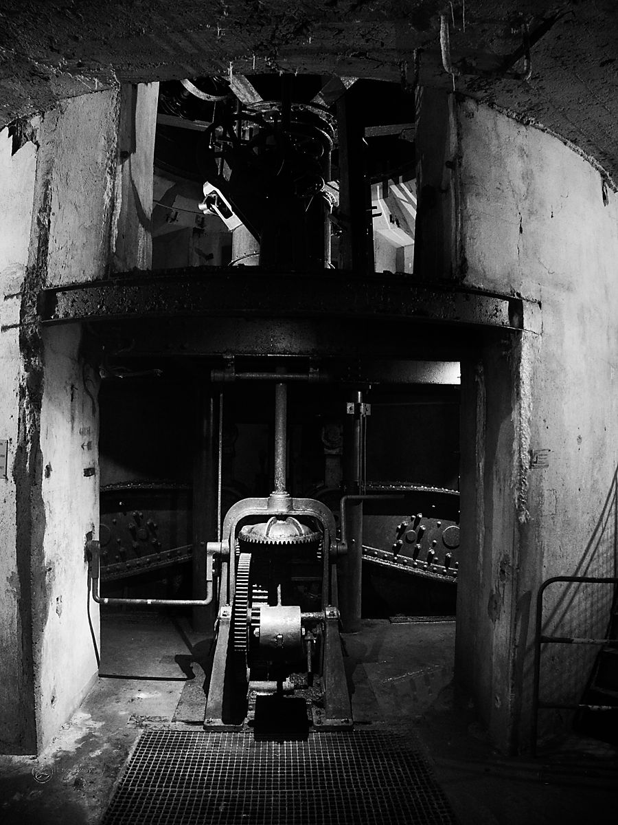 51730781566 e13820f20f o