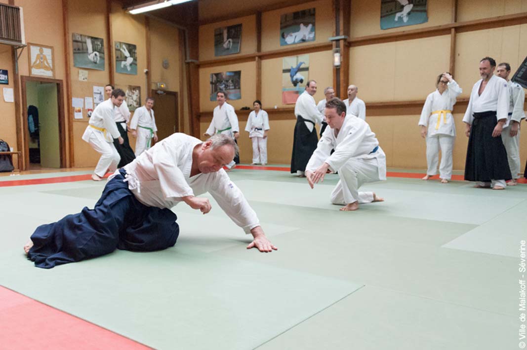 Stageaikijutsu 160319 045
