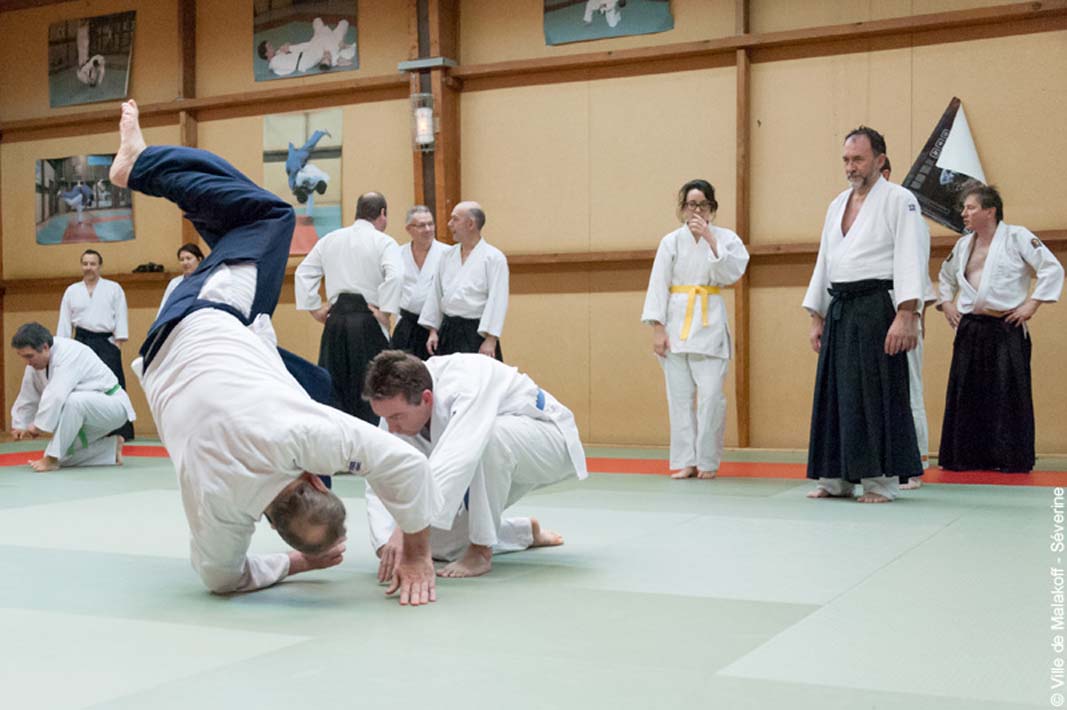 Stageaikijutsu 160319 043