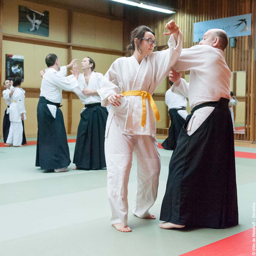 Stageaikijutsu 160319 141