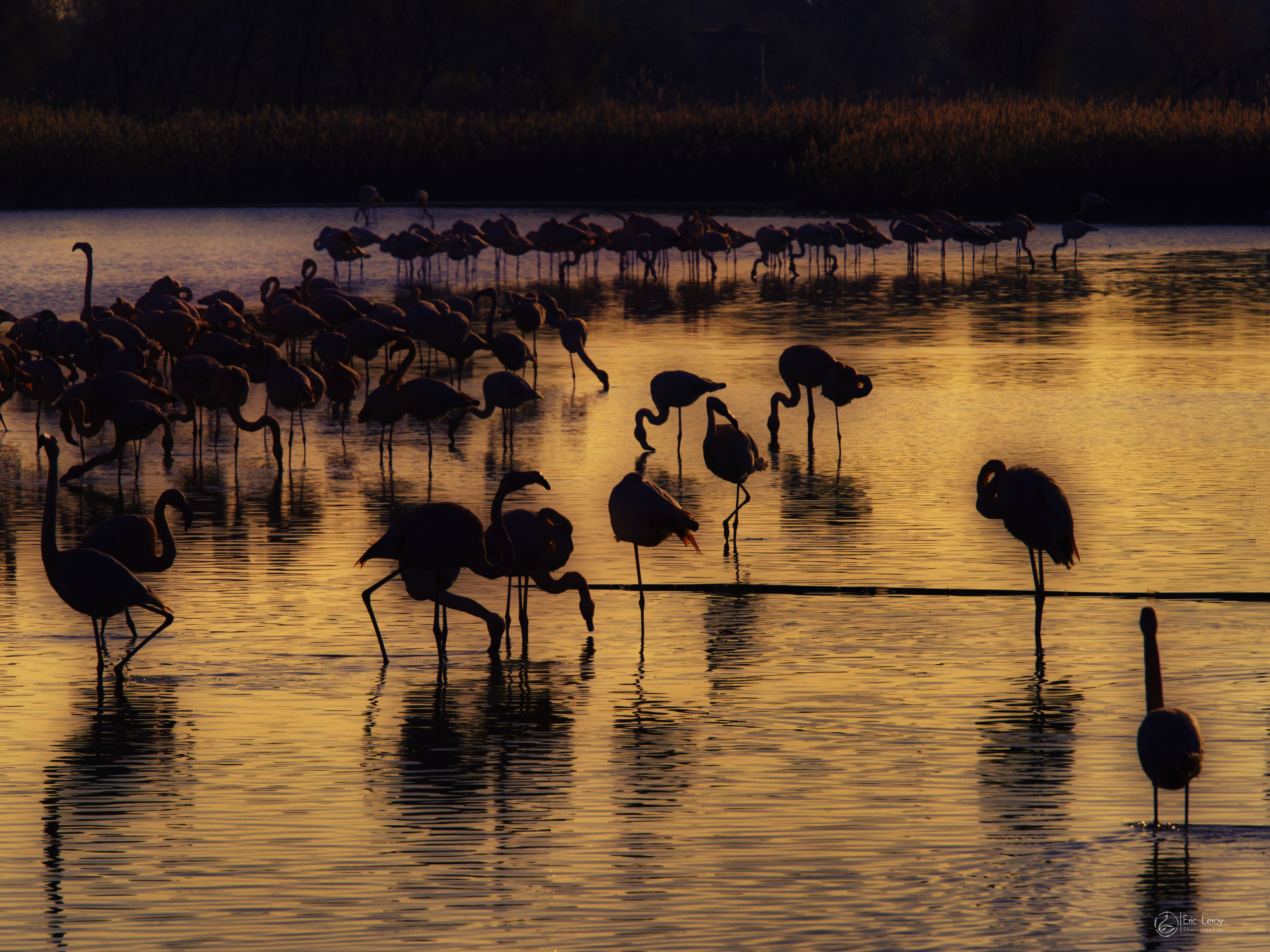 46090027625 c9ddf6a44a o