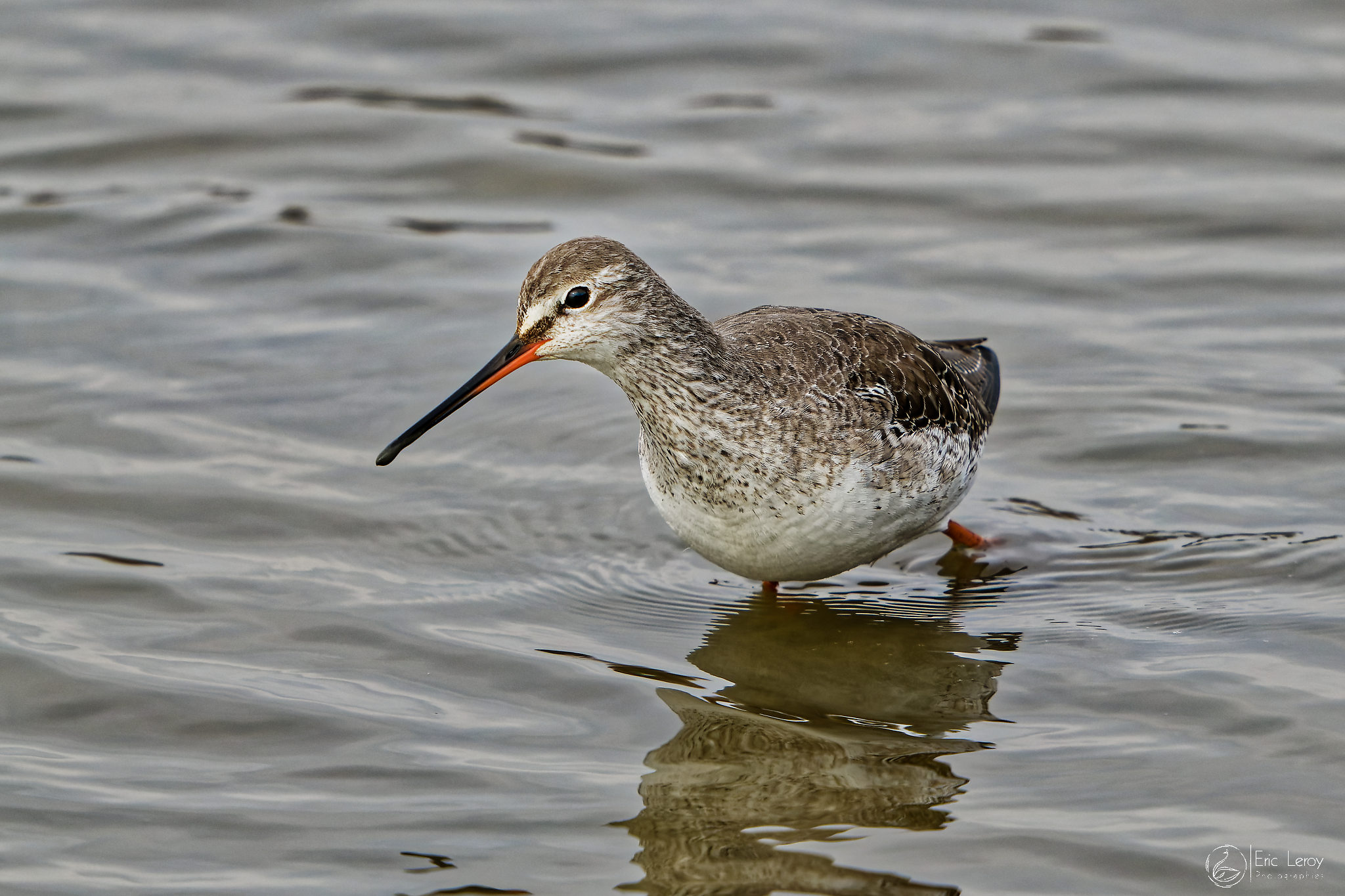 P2190387expo laragne 2