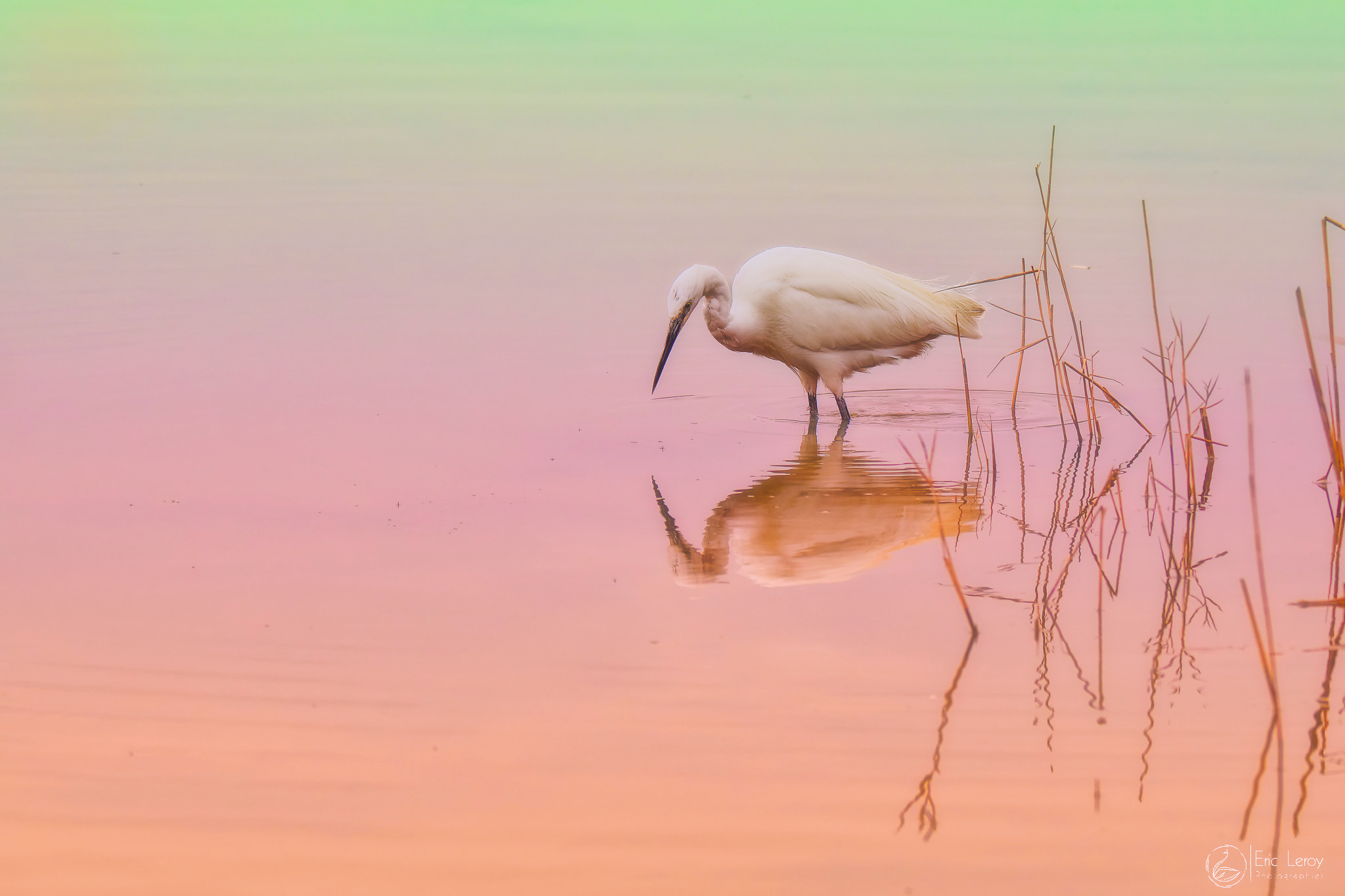 P2201104expo laragne 2