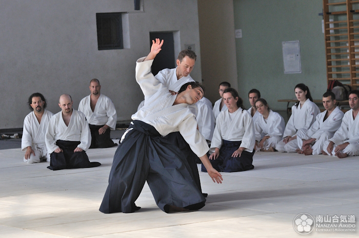 Aikido pecs 59