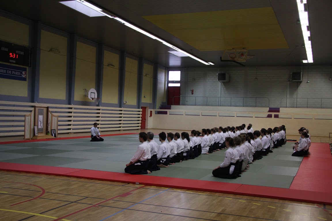 Aiki2013 491 1 