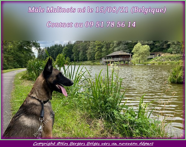 1-