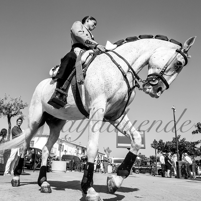 20200809 stes maries de la mer 002