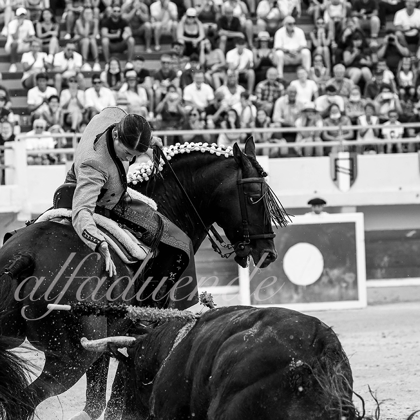 20200809 stes maries de la mer 005