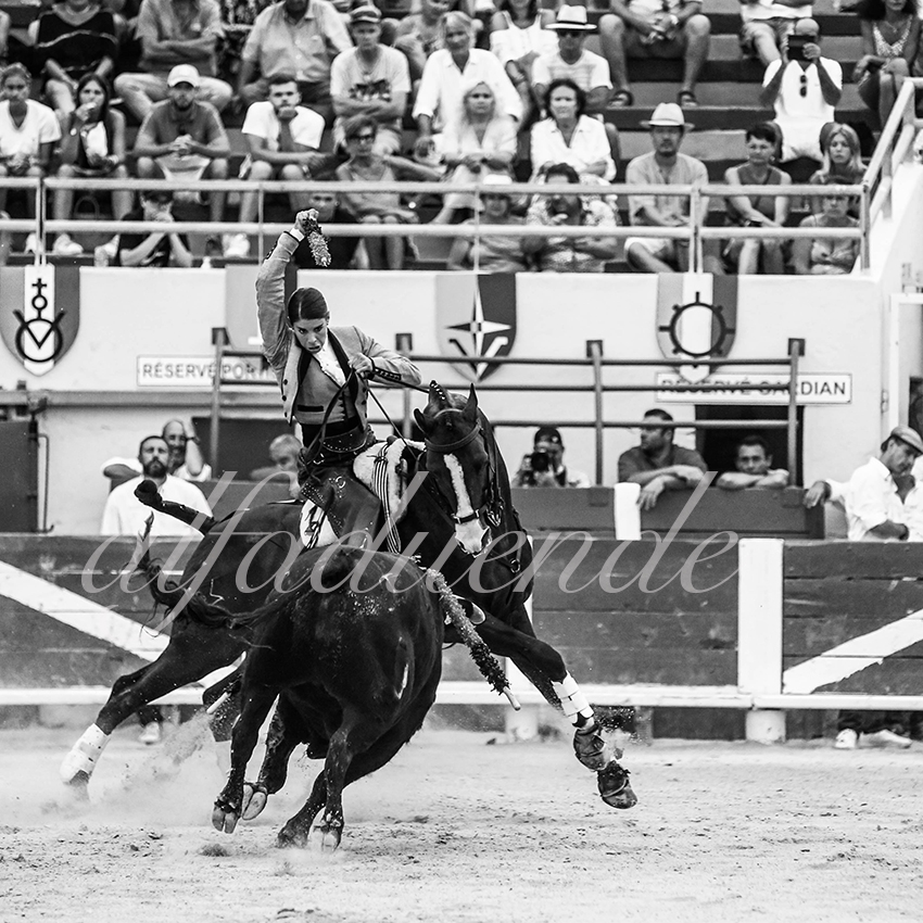 20200809 stes maries de la mer 006