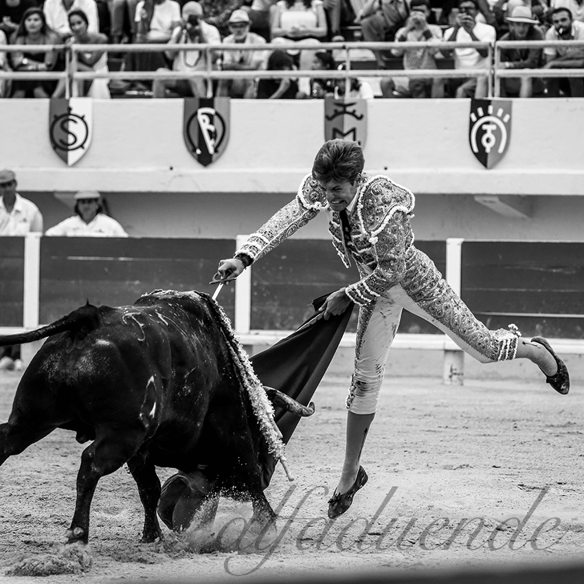 20200809 stes maries de la mer 008