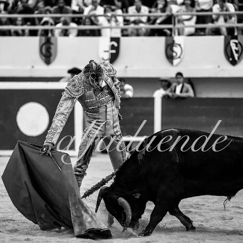 20200809 stes maries de la mer 012