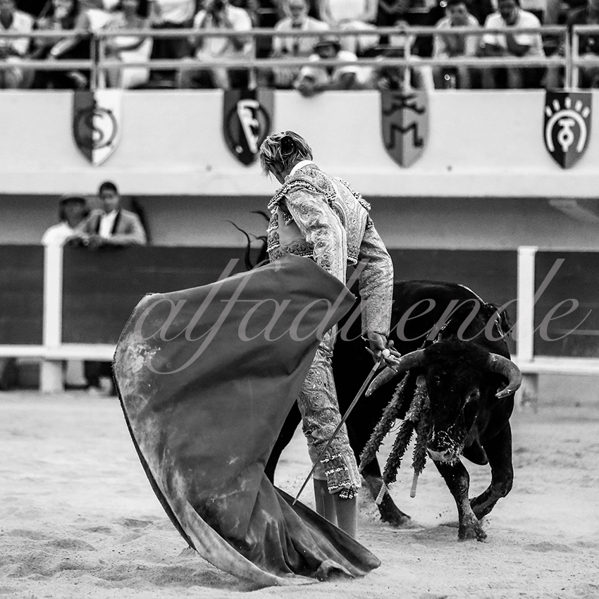 20200809 stes maries de la mer 013