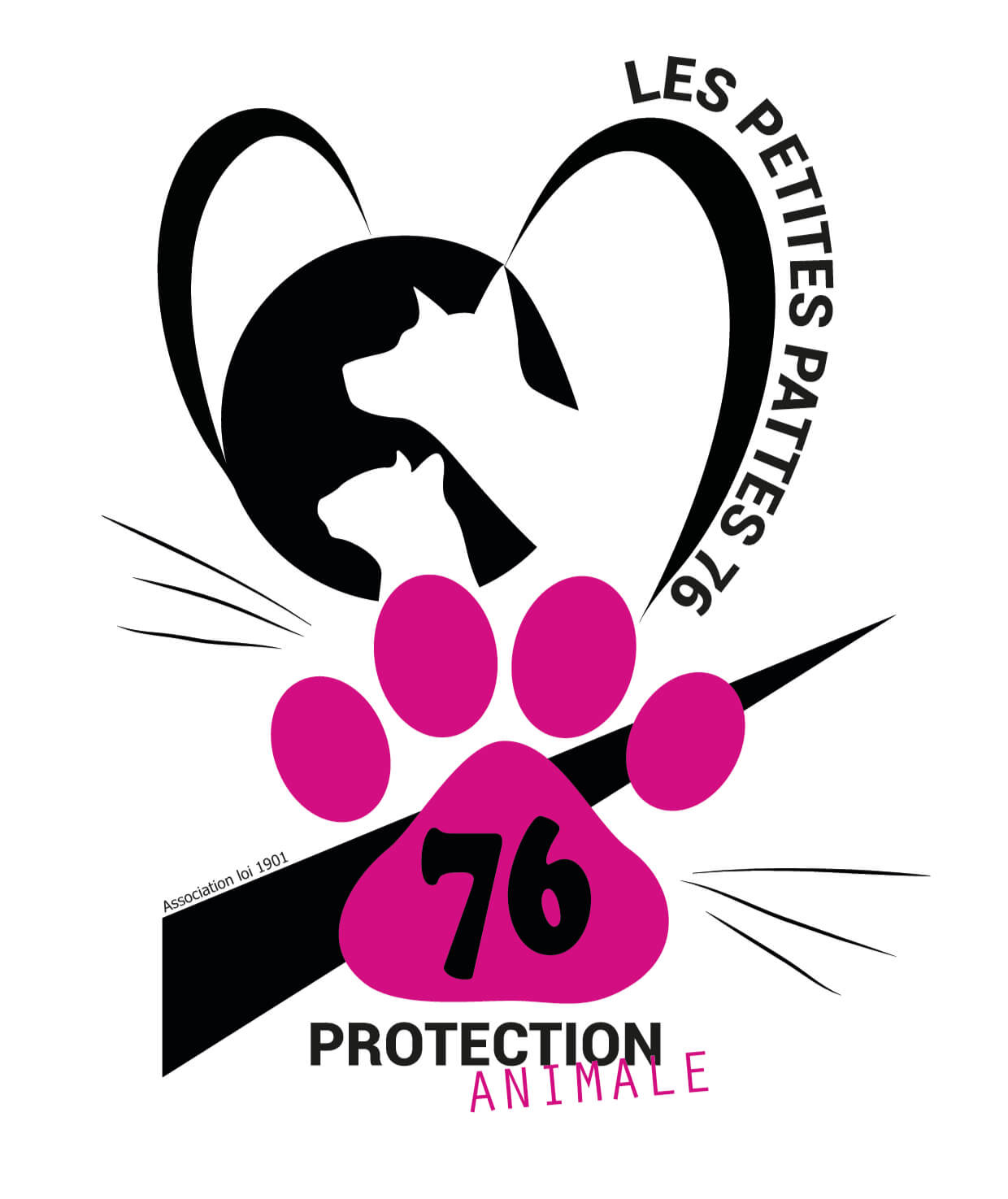 Les P'tites Pattes 76
Association d'aide aux animaux en difficultés à Rouen et ses alentours