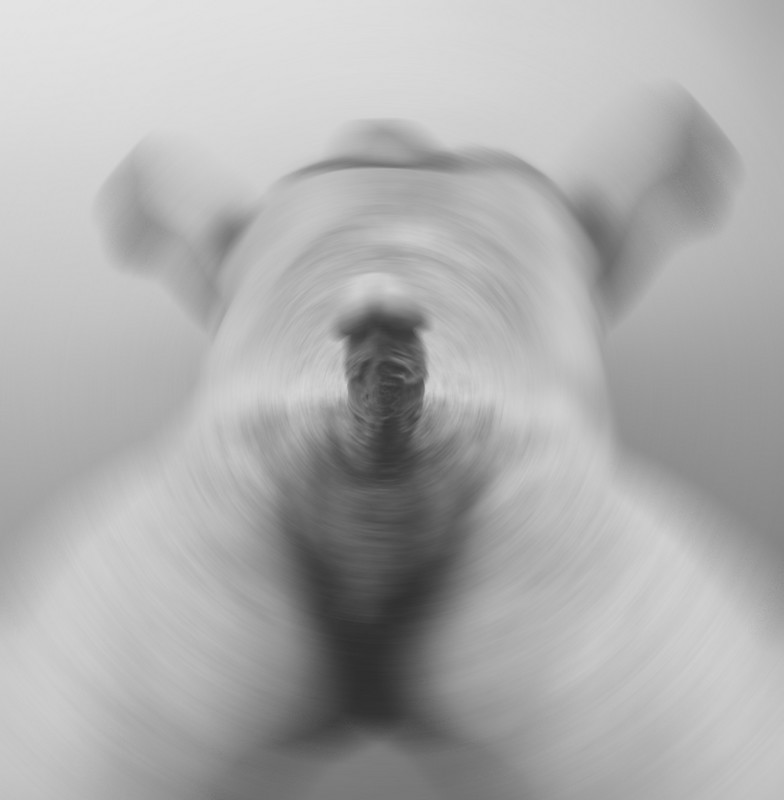 U26