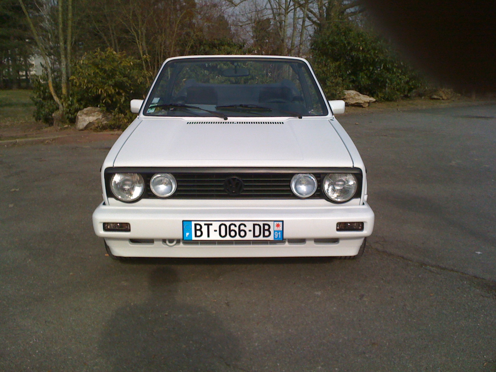 Photo 019