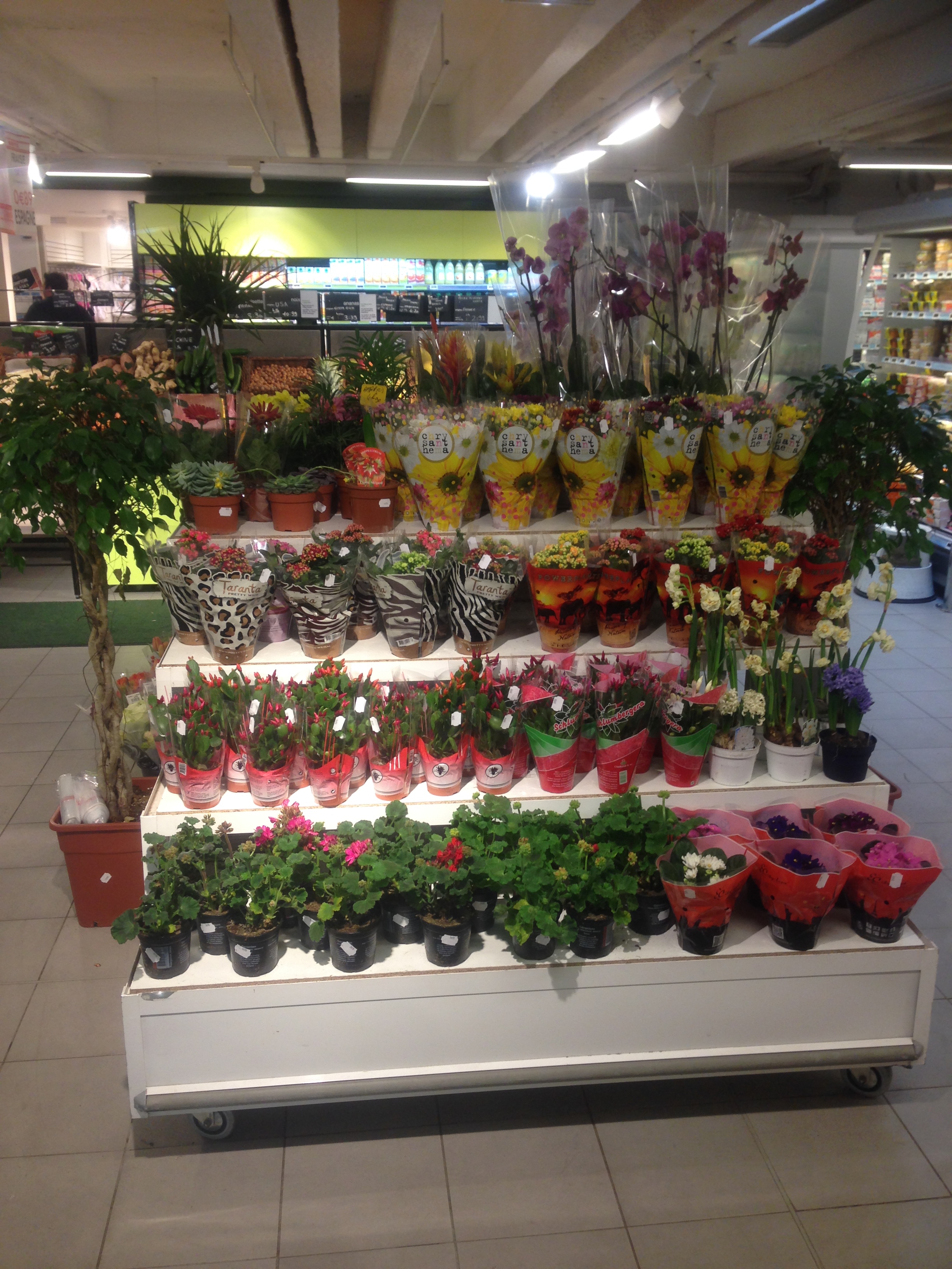 Monoprix courbevoie
