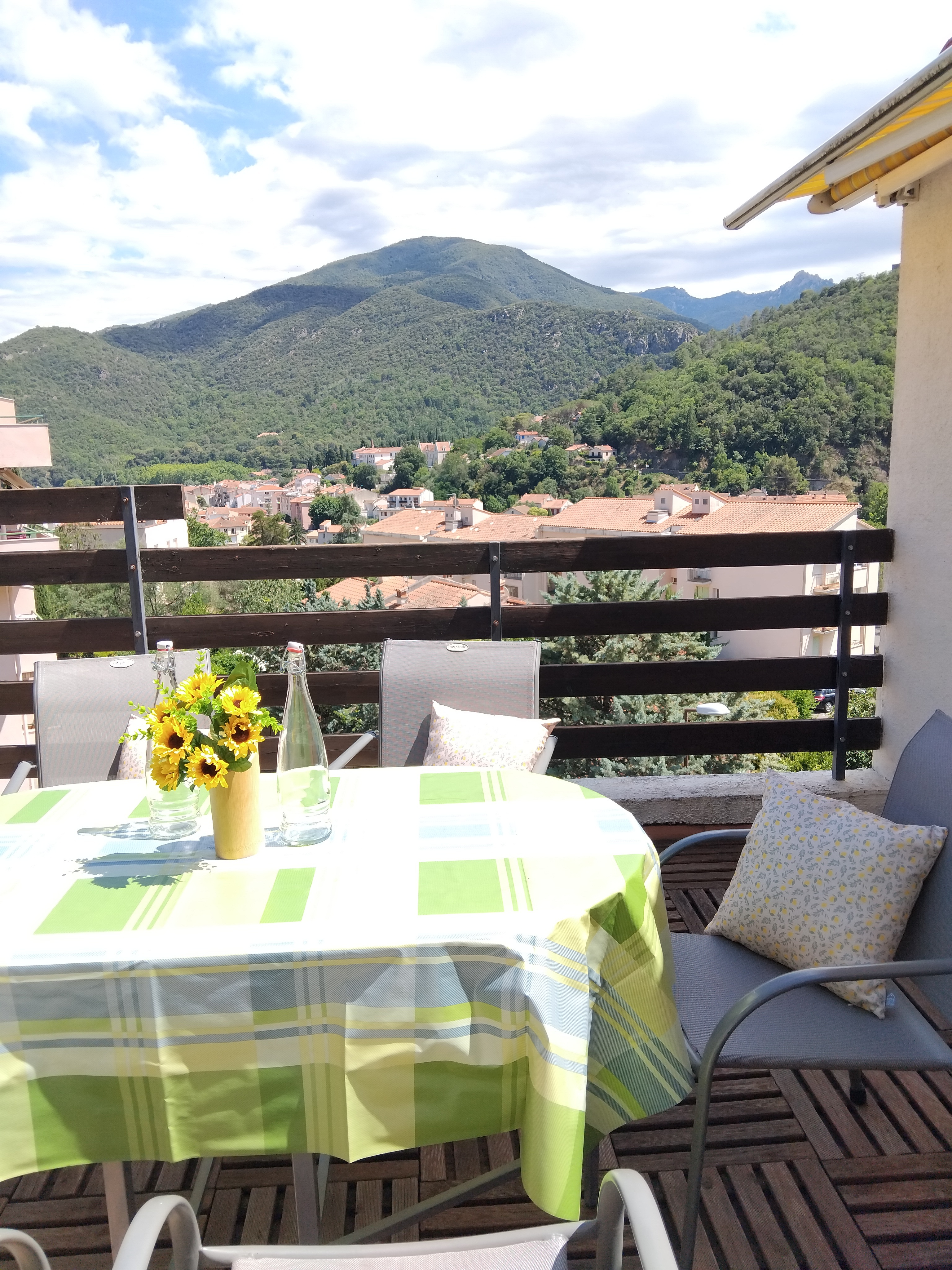 T3 terrasse avant 3
